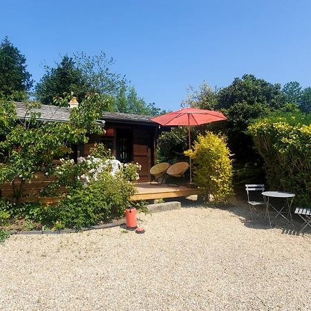 Chalet En Pleine Nature Au Bord D'Un Etang Lanvallay Ngoại thất bức ảnh
