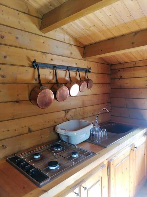 Chalet En Pleine Nature Au Bord D'Un Etang Lanvallay Ngoại thất bức ảnh