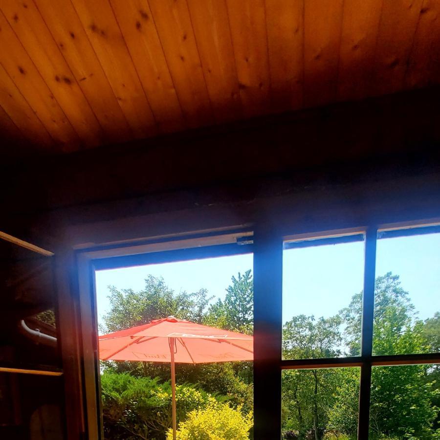 Chalet En Pleine Nature Au Bord D'Un Etang Lanvallay Ngoại thất bức ảnh